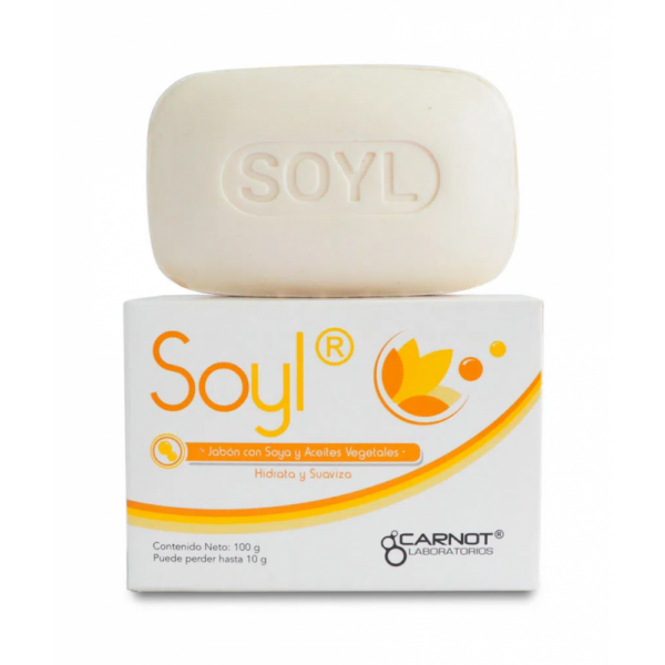 Soyl Barra X 100Gr